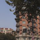 현지 | 상하이 스냅 꼭 찍어야할까? | 상하이 우캉맨션 와이탄 현지 스냅 후기