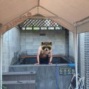 스테이436B
