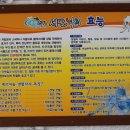 무안세발낙지