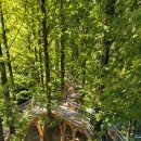 장태산자연휴양림 이미지