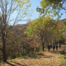 절고개공원 이미지