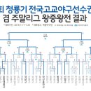 제73회 청룡기 전국 고교야구 선수권대회 / 주말리그 왕중왕전 / 8강 진출팀확정 / 경기도 소속 야탑고 8강진출 / 청룡기 광주 동성고 = 포철고 누르고 우승 이미지