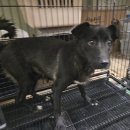 안골로108번길 이미지