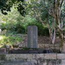 미스터장고 이미지