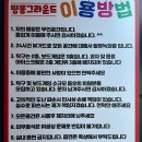 핑퐁그라운드 이미지