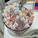 웰가사우나 | 진주 속눈썹펌 모아미 리얼 후기❤️