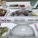 스시 먹는 오징어 이미지