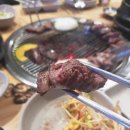 호박식당 티스토리