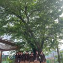 현서고등학교 | [ 001. 이대로 이대로 더 길 잃어도 난 좋아]