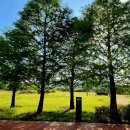 창원 덕천리 유적 이미지