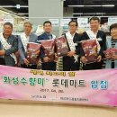 화성할인마트