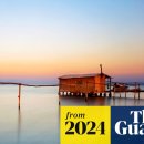 Sing Green Golf 이미지