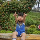 8.25 중랑천 운동길 산책 &amp; 굿윌스토어 방문 이미지