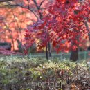 (주)제주프리투어 이미지