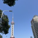 자매의 3박 4일 상해여행 3(동방명주/점도덕 정대광장점/디즈니스토어/루이싱커피/수향마을/판롱티엔디...