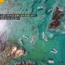 정화여행