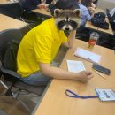 2025 KOSAC 코삭 지역대회후기