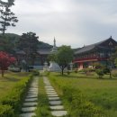 삼성사 이미지
