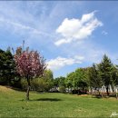 성호공원_식물원주변 이미지