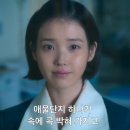 넷플릭스 아이유 박보검 폭싹 속았수다 정주행 완료! 줄거리, 출연진, 등장인물, 정보공개 ,오랜만에...