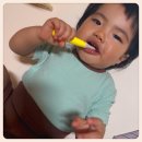 마크트웰브 | 26년 넾다세일 칫솔 더트웰브 아기칫솔 추천 14개월 아기 사용후기