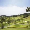 동원스크린 이미지