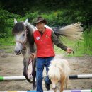 가가홀스 이미지