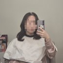 웨딩촬영 - 헤일링 헤어변형 후기 (25.04.04)