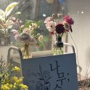 서울큰나무병원 | 반포 성모병원 꽃집반포꽃집 나무수플라워앤가든