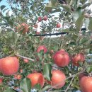 병규농장 이미지