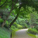 김제대중중앙마트