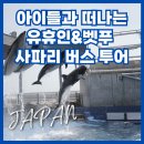 11650-1-10-870 | 벳푸 사파리 유후인 버스 투어 - 수족관 돌고래쇼까지 흥미진진했던 여행 답사 후기