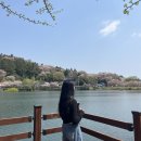 월하당펜션 | 아 블로그 재밌네 재밌어