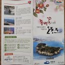 여수엑스포 홍보관 | 2025 여수 여행: 여수 오동도 &amp; 여수 엑스포 카트장 카트레이싱