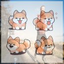 바우와우 이미지