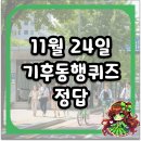 ㈜영양동행버스 | 11월 24일 기후동행퀴즈 정답 내 몸을 살리는 걷기 습관