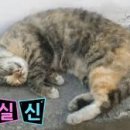 효소자연치유센터