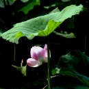 죽동체육공원 이미지