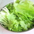 일신팜 | 친환경 쌈채소 추천 리피 유러피안 샐러드