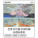 전주수족관 | 전주 아쿠아주주 동물카페 이색카페 9개월아기 방문후기