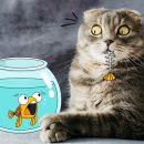 천안불당초등학교 이미지