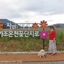 갈계숲화장실 | 가조온천 꽃단지 코스모스 절정