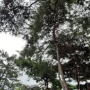 대행농장 이미지