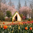 정원에 머물다 이미지