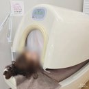 강남EMS트레이닝 | 강남역 누워서 하는 다이어트 에소코핏 강남역점(EMS 트레이닝 린웨이브) 후기