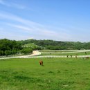 가구목장 이미지