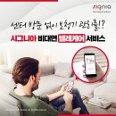 시그니아독일보청기 안동센터 이미지