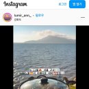 해운정왕새우