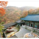 (주)모시미노인복지센터 이미지