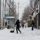 영차영차